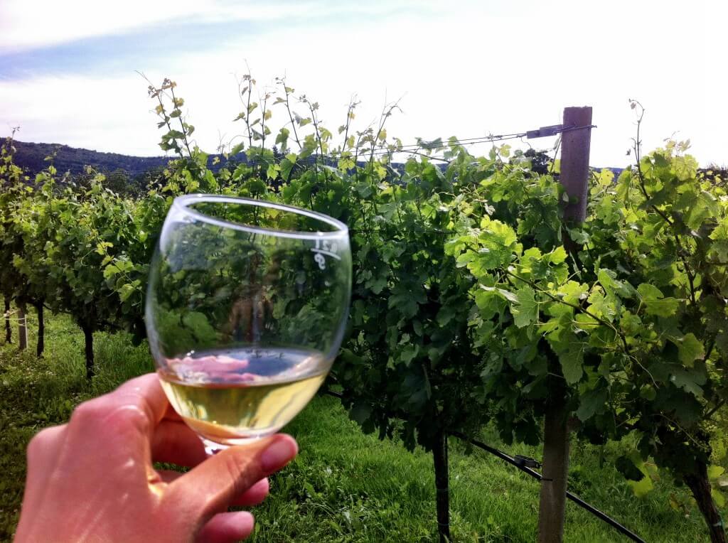 Wine Destinations-9