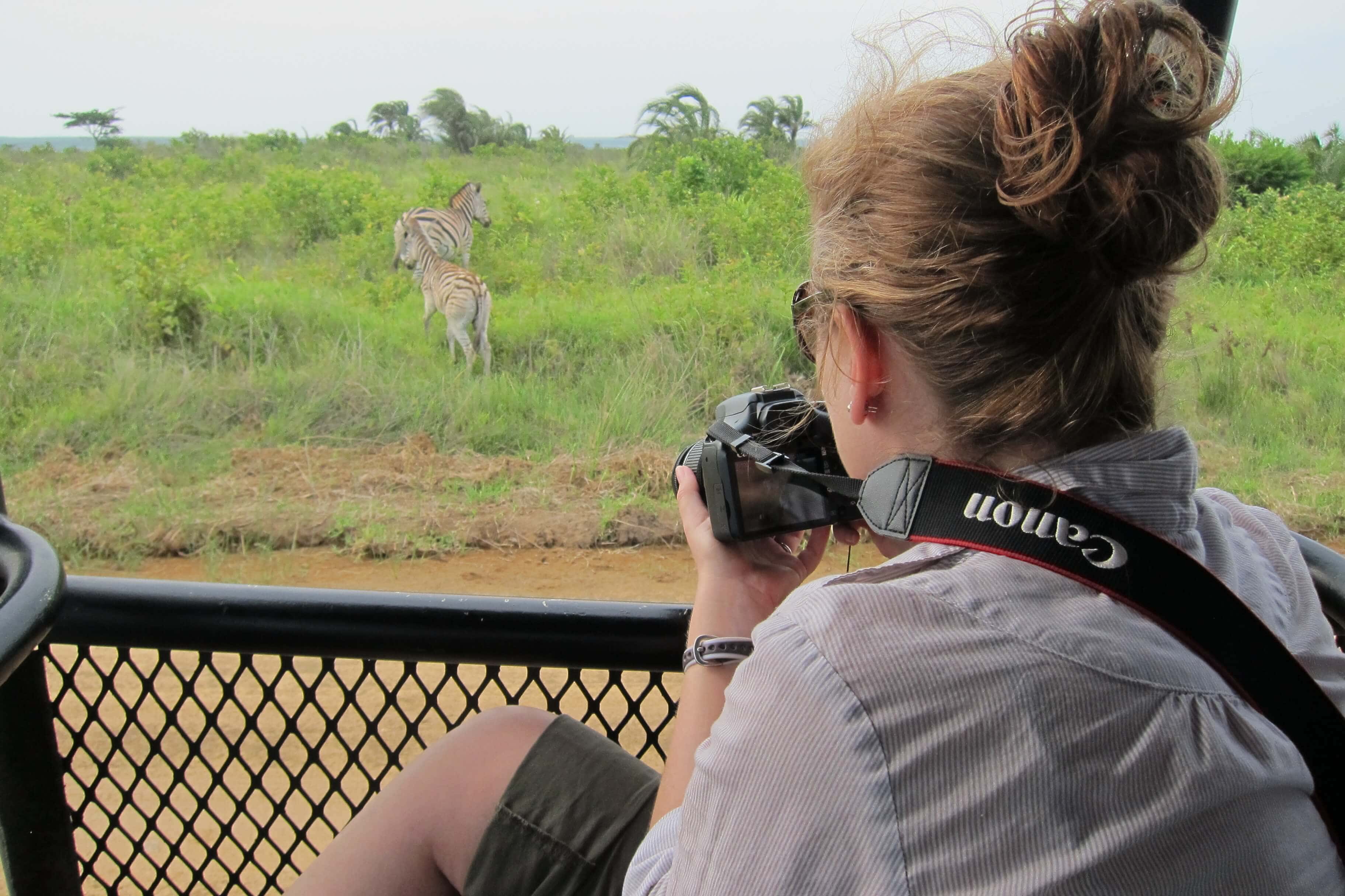 Encountering Hippos In iSimangaliso Wetland Park – The Travel Bite