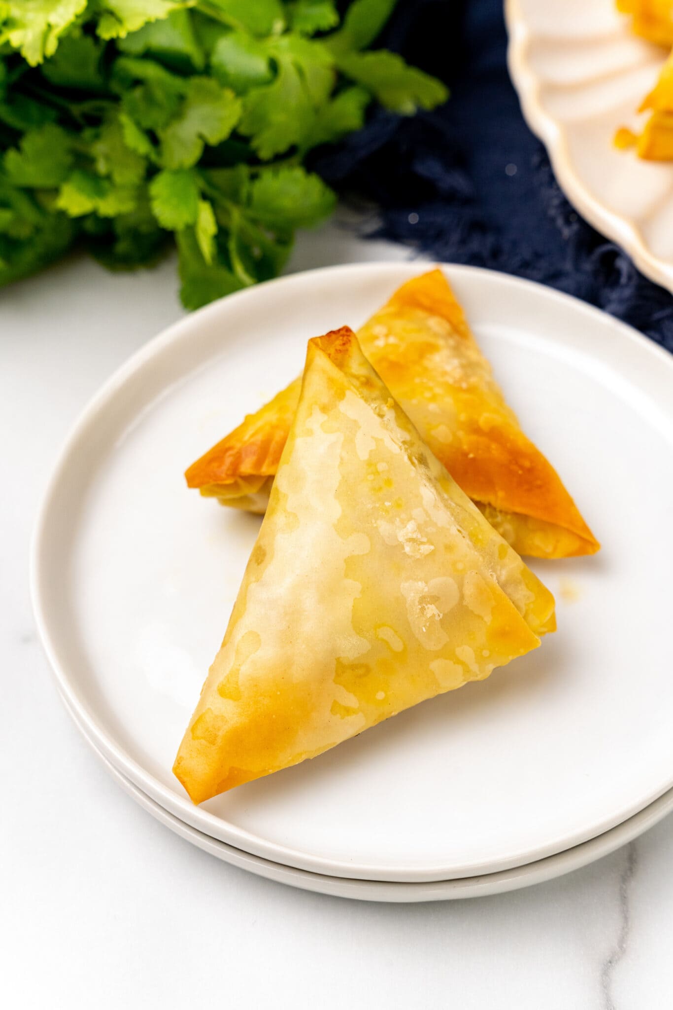 Cape Malay Samosas Recipe – The Travel Bite