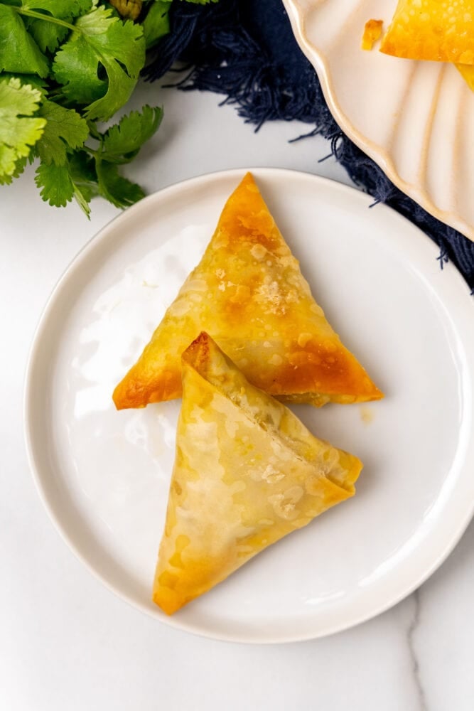 Two samosas on a white plate with fresh cilantro off ot the side