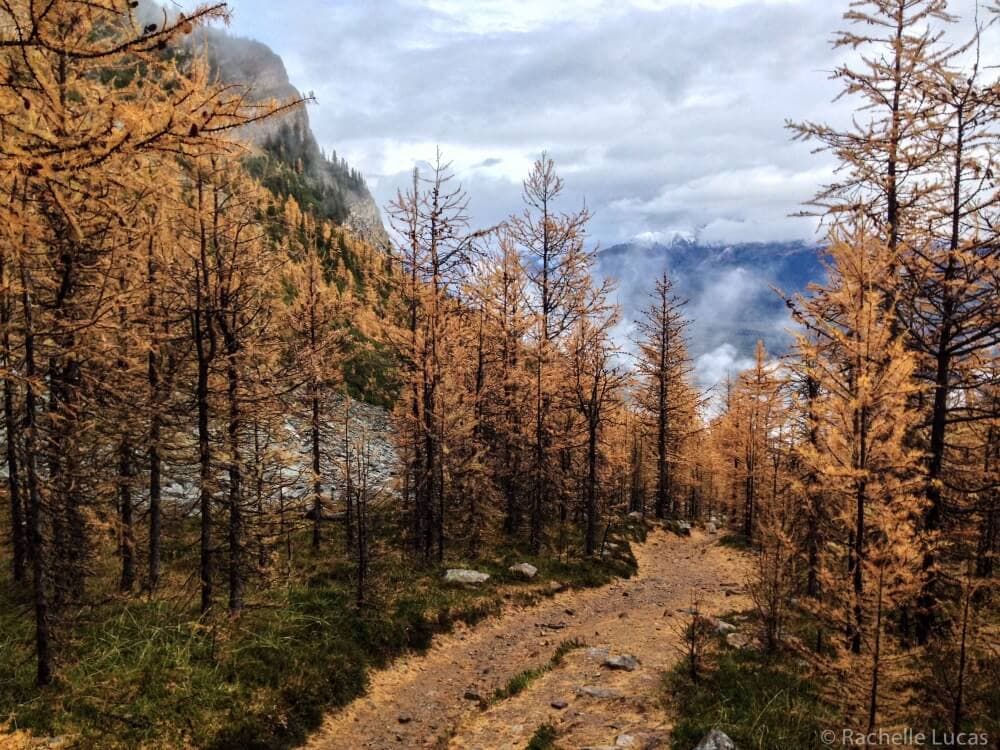 LakeLouise_Alberta_Canada_TheTravelBite-26