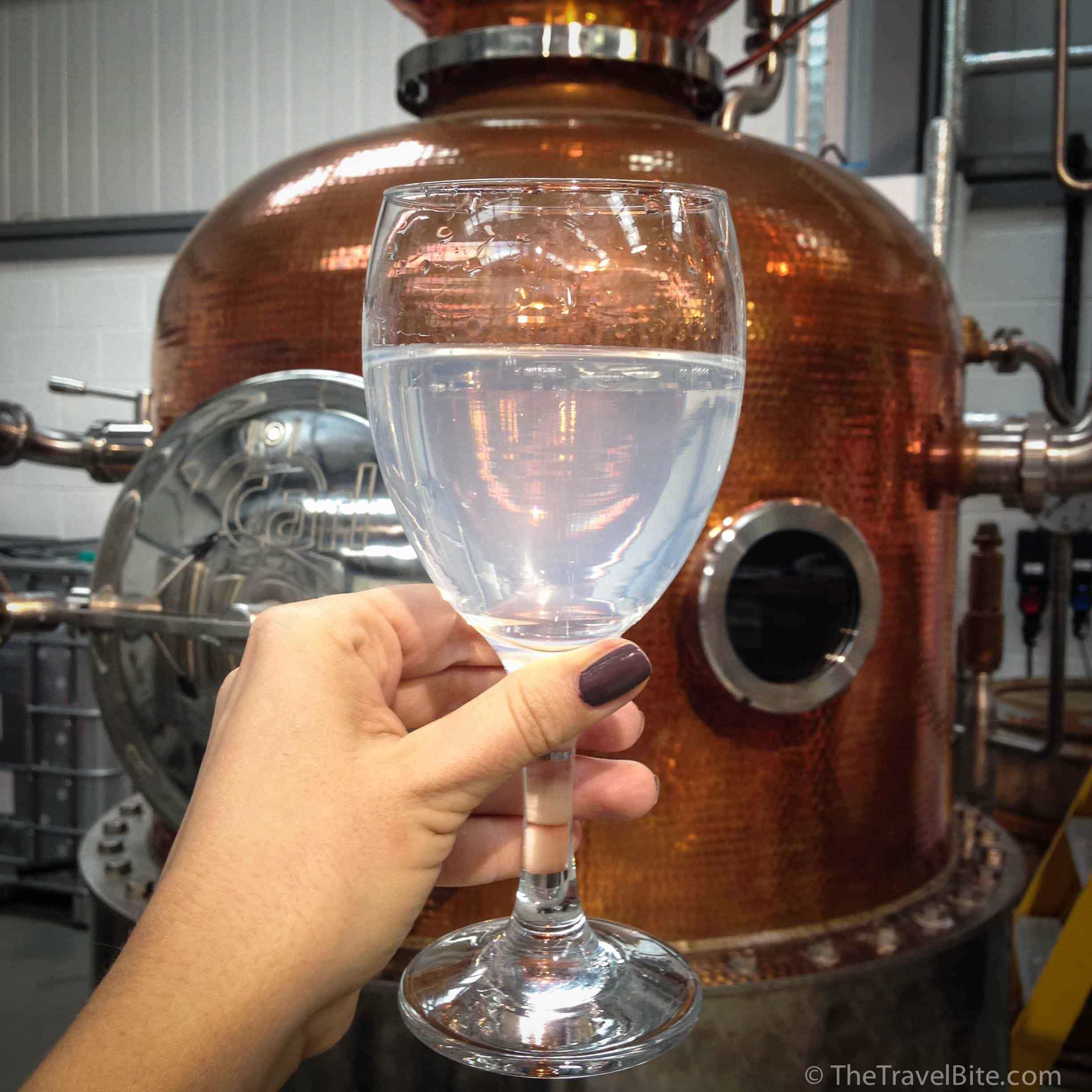 British Gin Tour-TheTravelBite-174