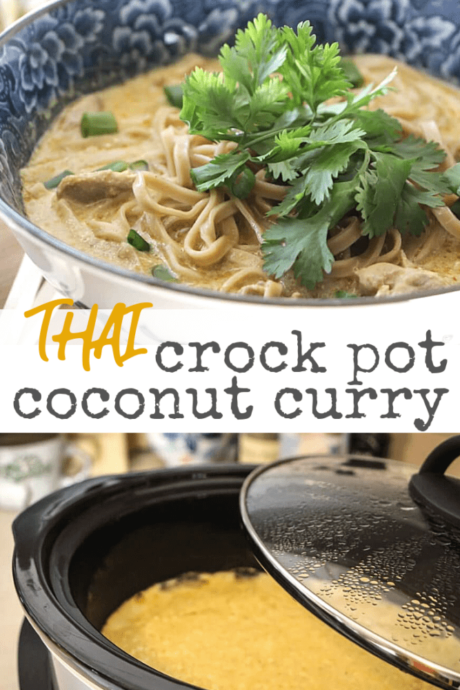 Thai Crock Pot Coconut Curry - TheTravelBite.com