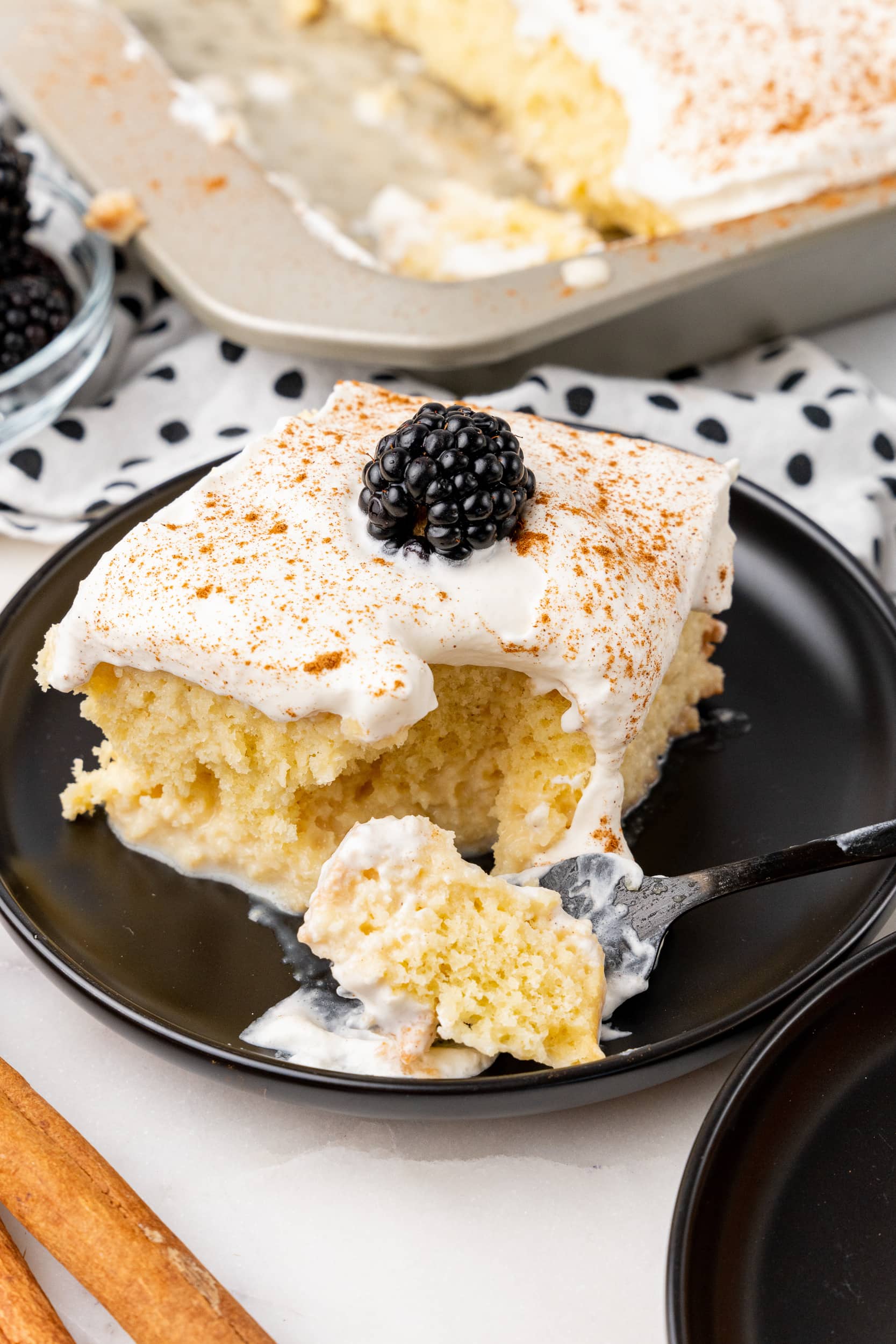 Tres Leches Cake – The Travel Bite