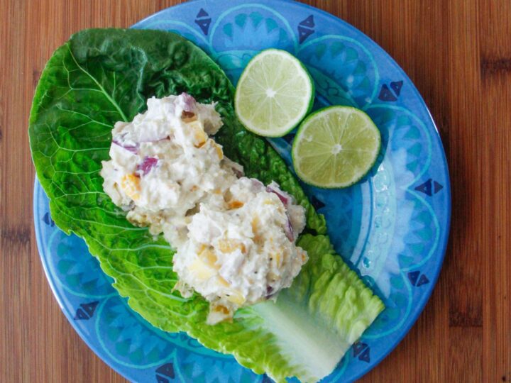 Greek Chicken Salad Lettuce Cups - Recipe Runner