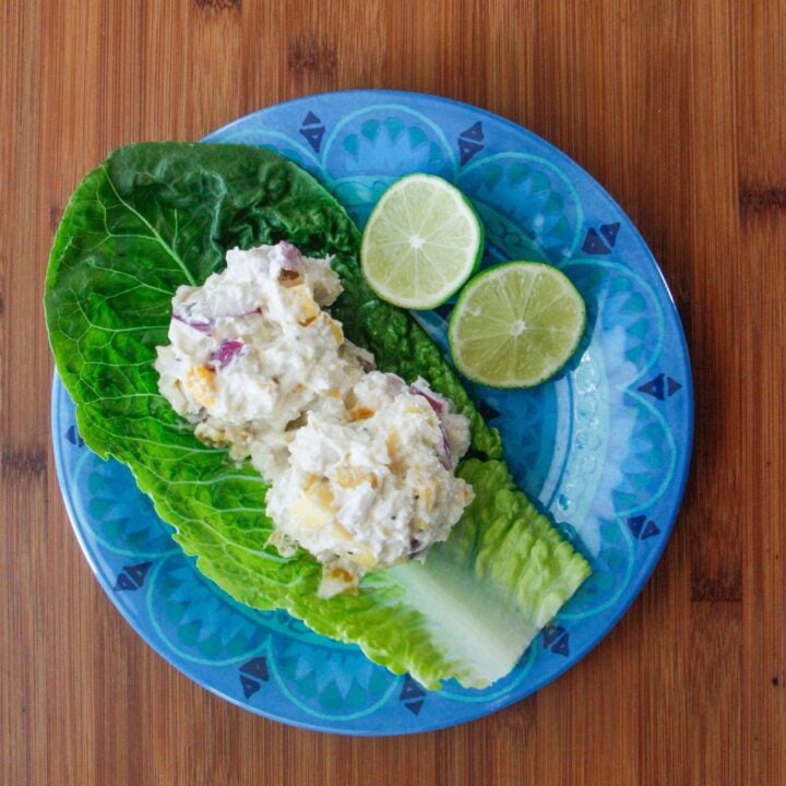 Mango Chicken Salad