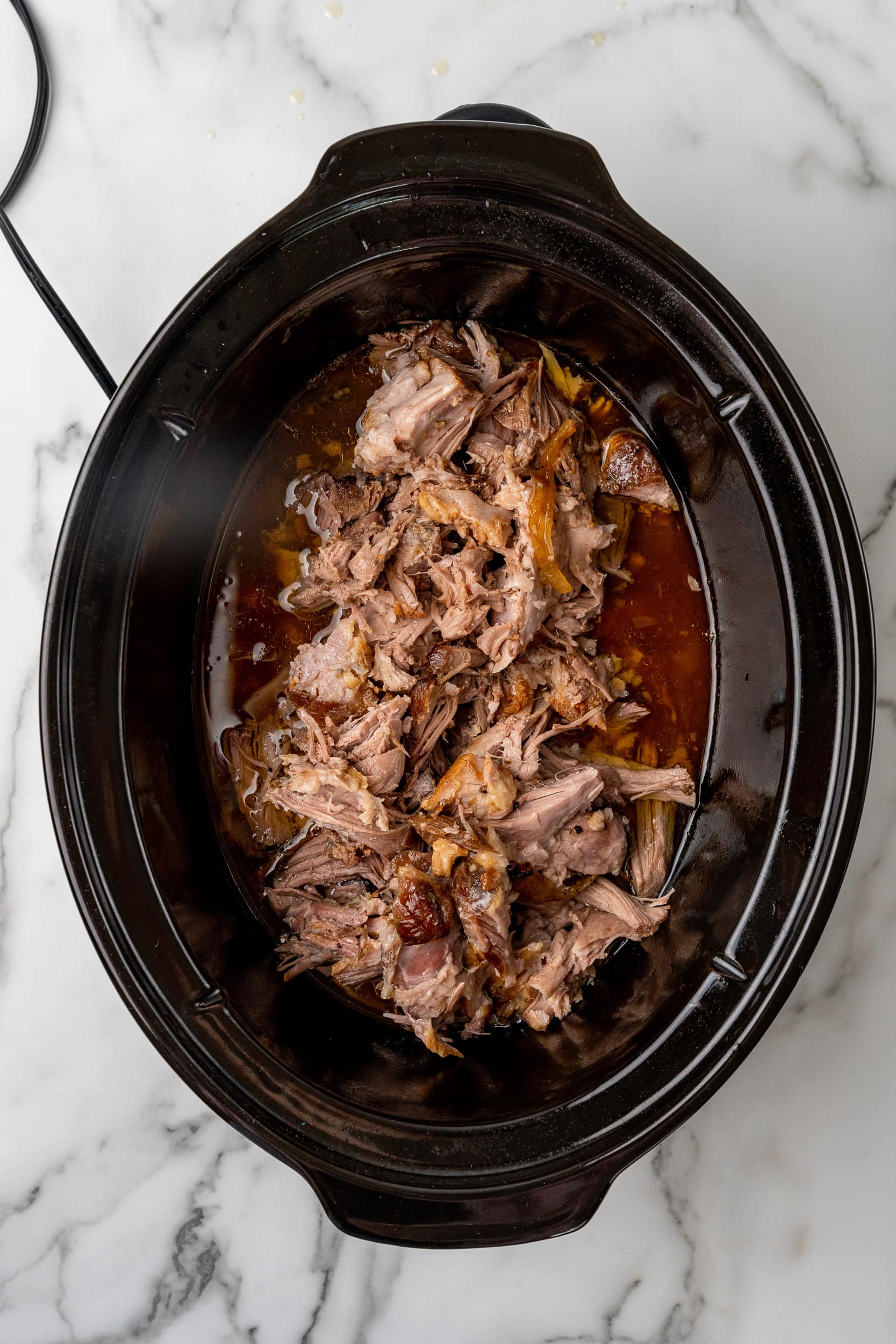 EASY Crock Pot Pulled Pork – The Travel Bite