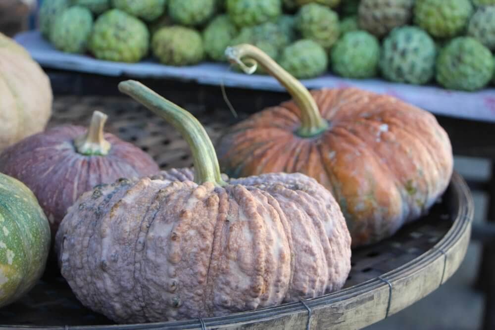 pumpkins in thailand