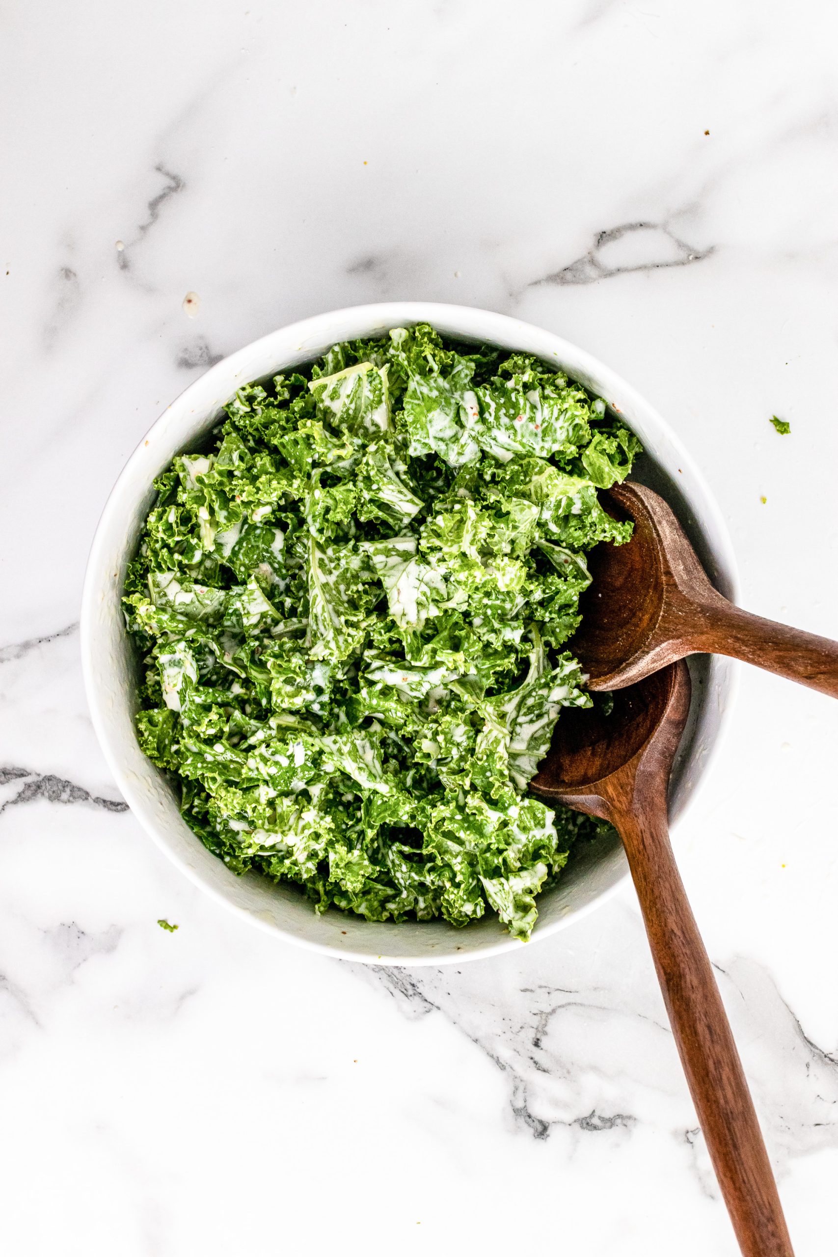 https://thetravelbite.com/wp-content/uploads/2016/11/Kale-Salad-TheTravelBite.com-6-scaled.jpg