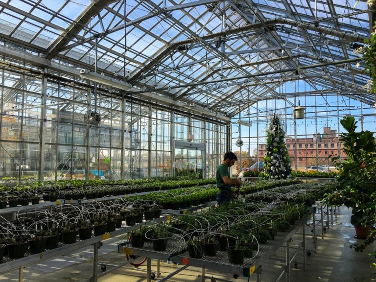 A Delicious Weekend In Grand Rapids The Travel Bite