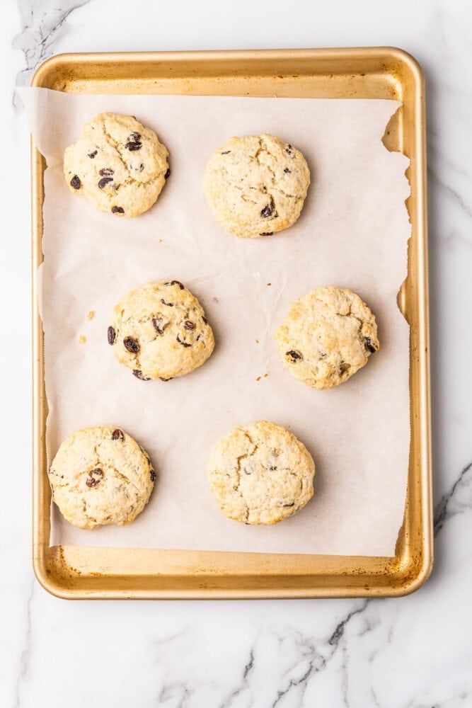 Irish Raisin Scones - Souffle Bombay