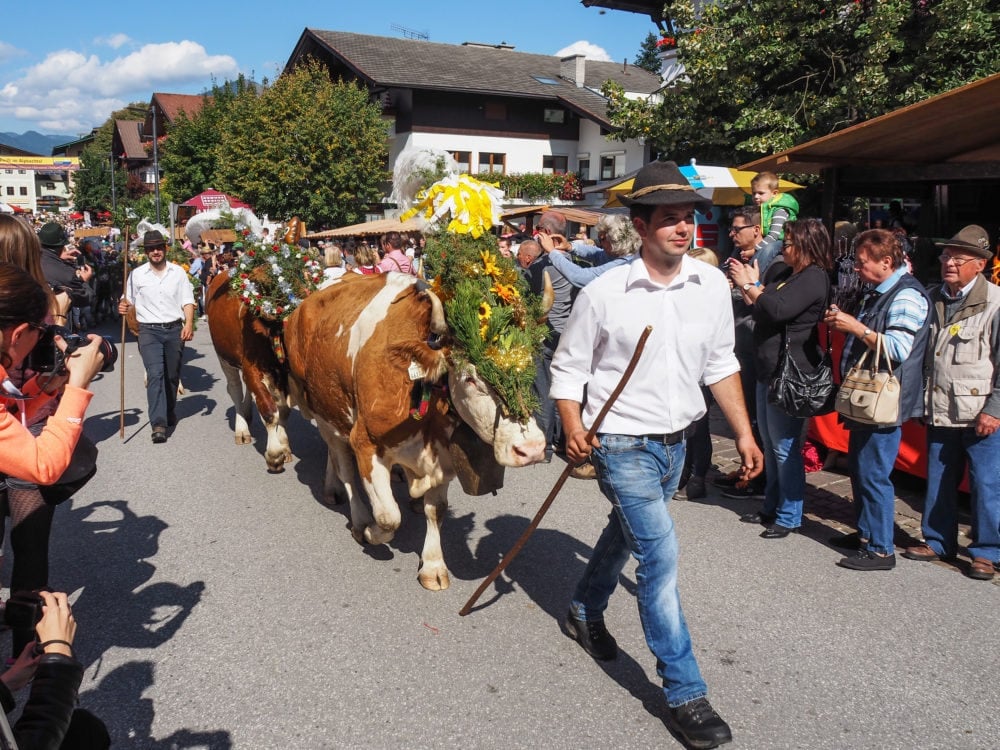 Austrian Alps Farm House Stay In Alpbachtal - TheTravelBite.com