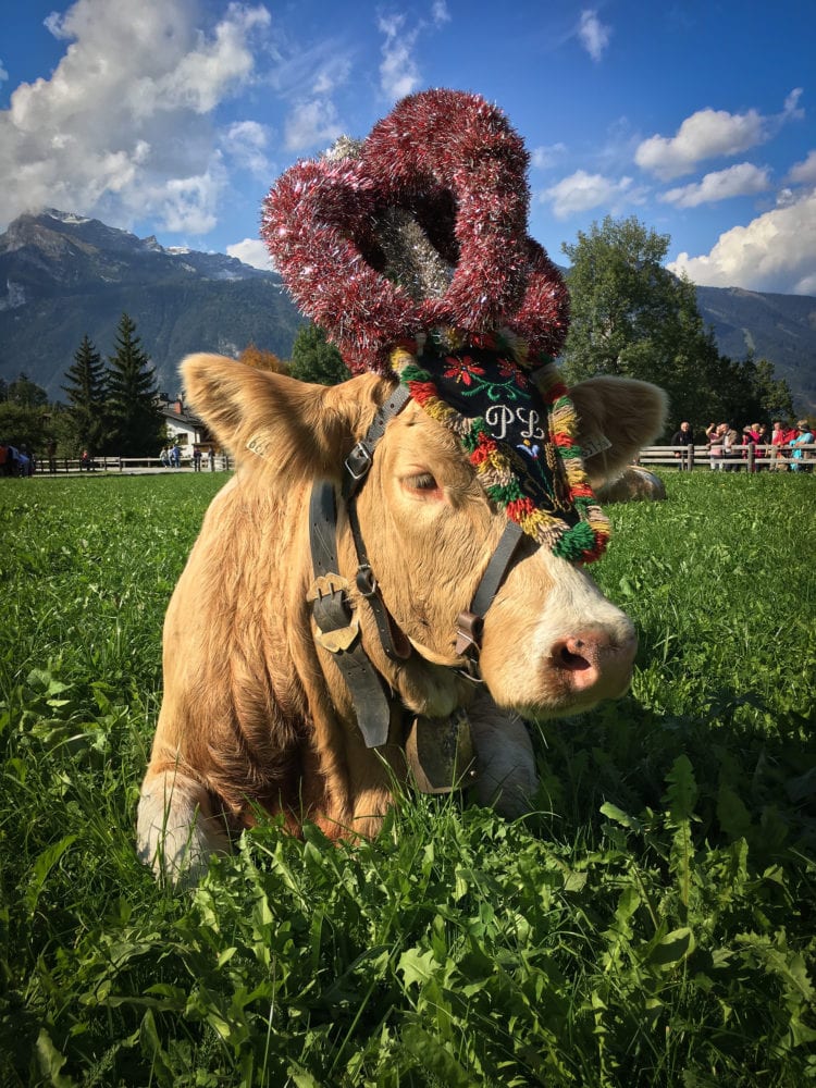 Austrian Alps Farm House Stay In Alpbachtal - TheTravelBite.com