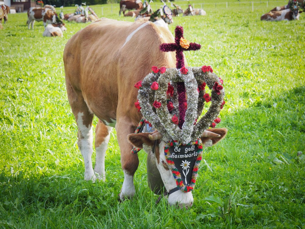 Austrian Alps Farm House Stay In Alpbachtal - TheTravelBite.com