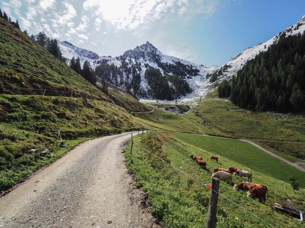 Austrian Alps Farm House Stay In Alpbachtal - TheTravelBite.com