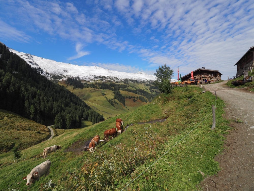 Austrian Alps Farm House Stay In Alpbachtal - TheTravelBite.com