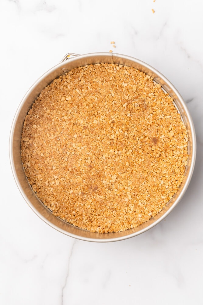 Graham cracker and ginger snap crumb mixture pressed into the bottom of a springform pan.