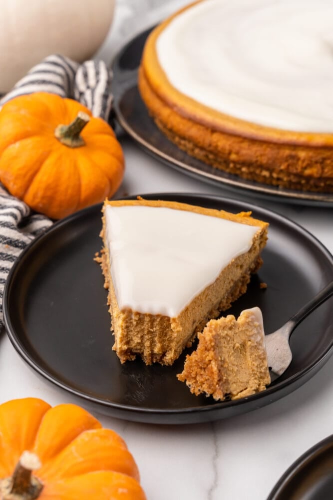 Pumpkin cheesecake with bourbon cream topping, plated on a black plate with mini pumpkins in the background for decoration.