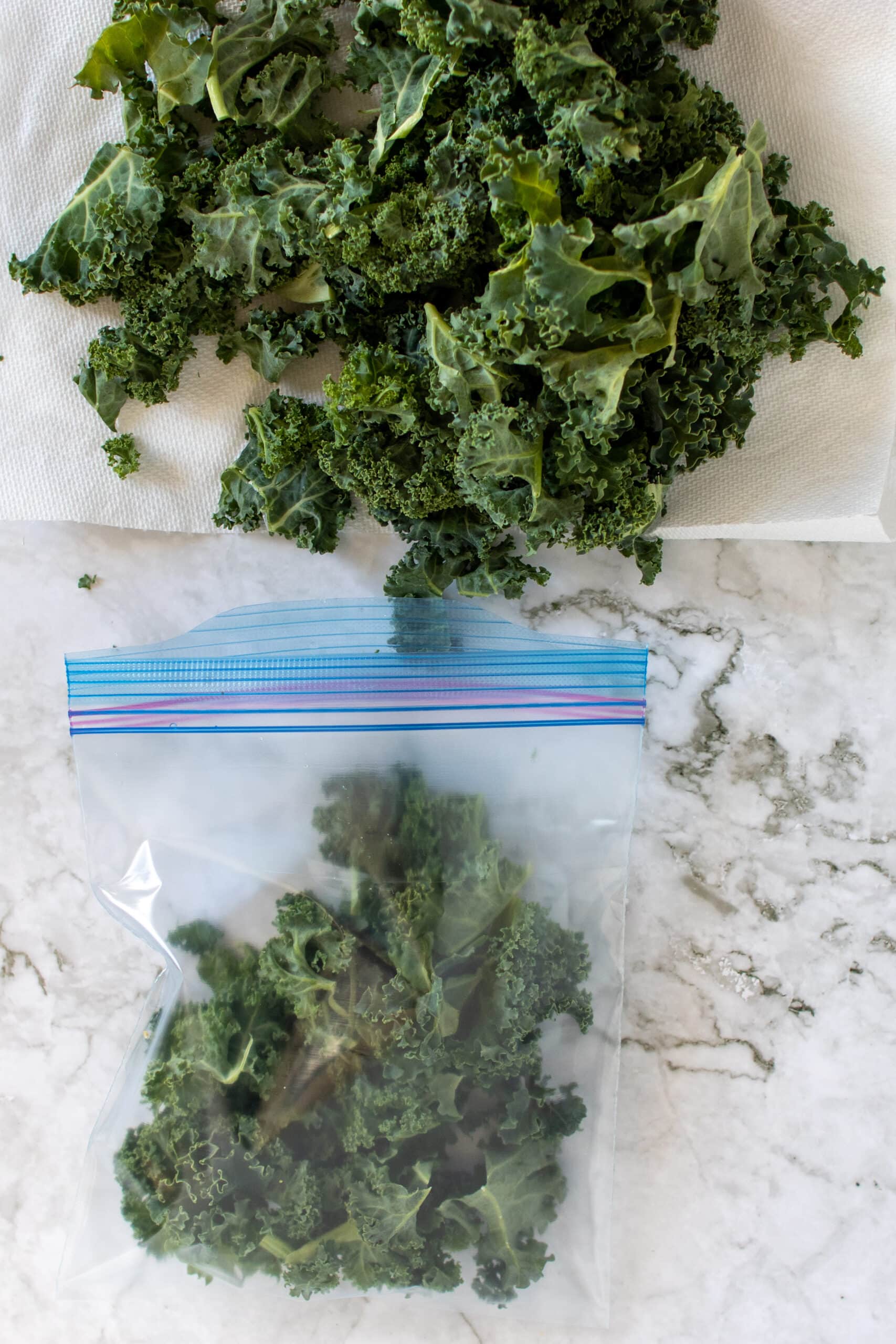 Delicious Pineapple Ginger Kale Smoothie The Travel Bite