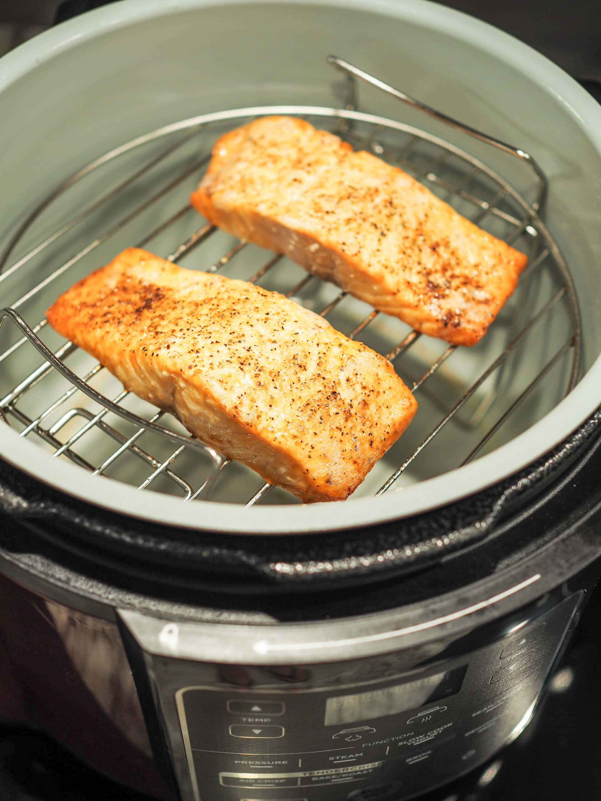 The BEST Air Fryer Salmon The Travel Bite