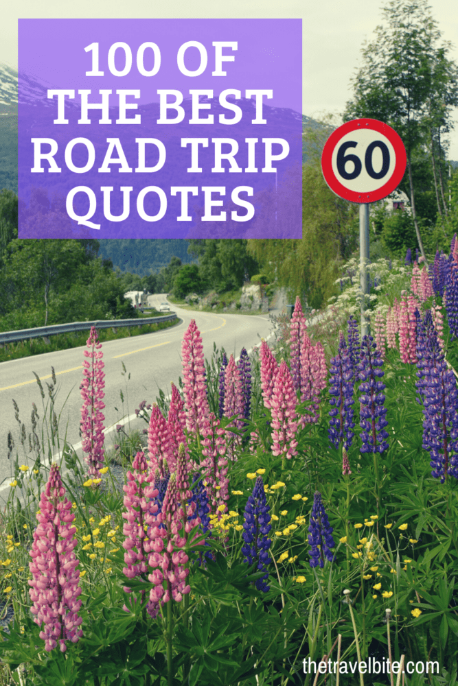 Road Trip Quotes Pin - Road going through pink and purple flowers - TheTravelBite.com