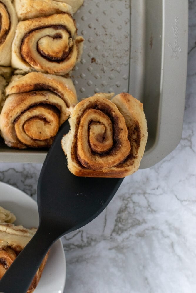 Homemade cinnamon roll on a spatula ready to be served.
