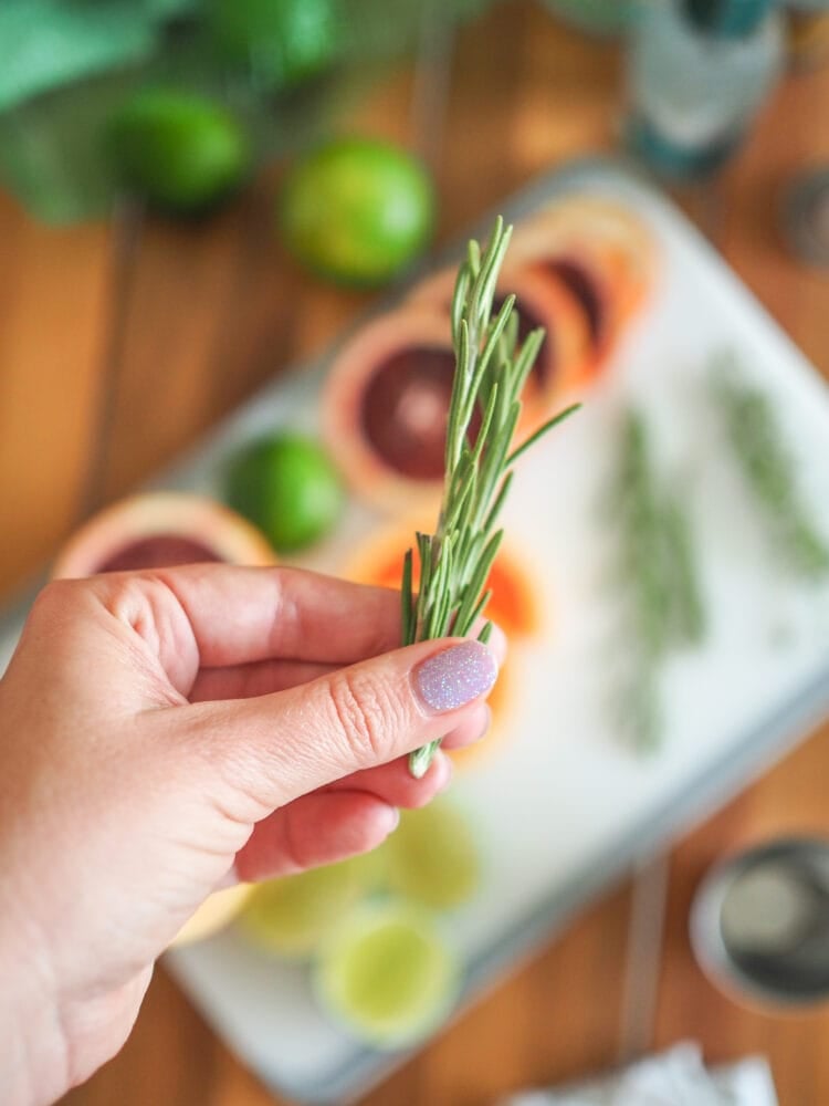 Holding rosemary, a garnish for gin and tonics. With a cutting board in the background showing other garnishes included lime, blood orange, and thyme.