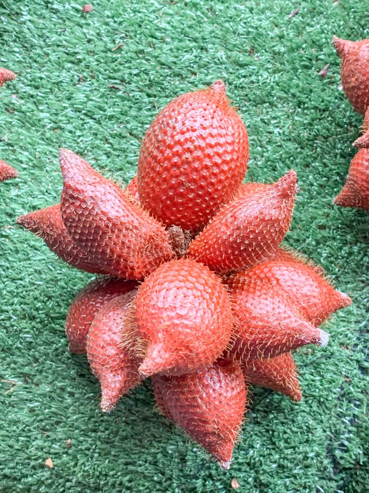 A bunch of snake fruit with brown scaly skin on a green mat at a fruit market.