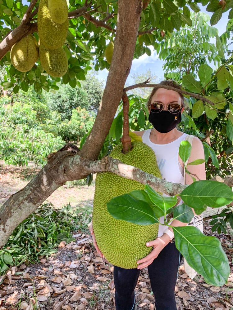 Rachelle standing next to a jackfruit tree holding a jackfruit that is the same size as her torso.