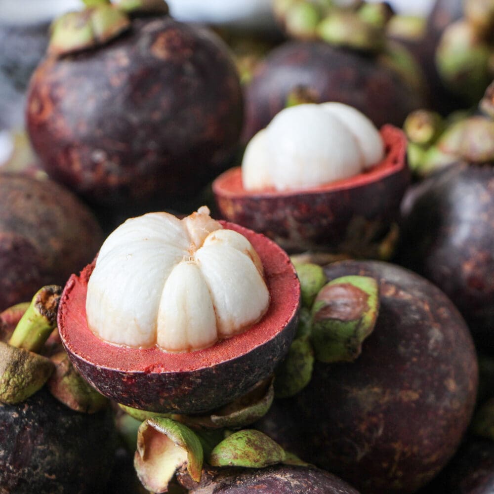 Group of purple Mangosteen fruit with one cut in half so you can see the white fleshy sections inside.