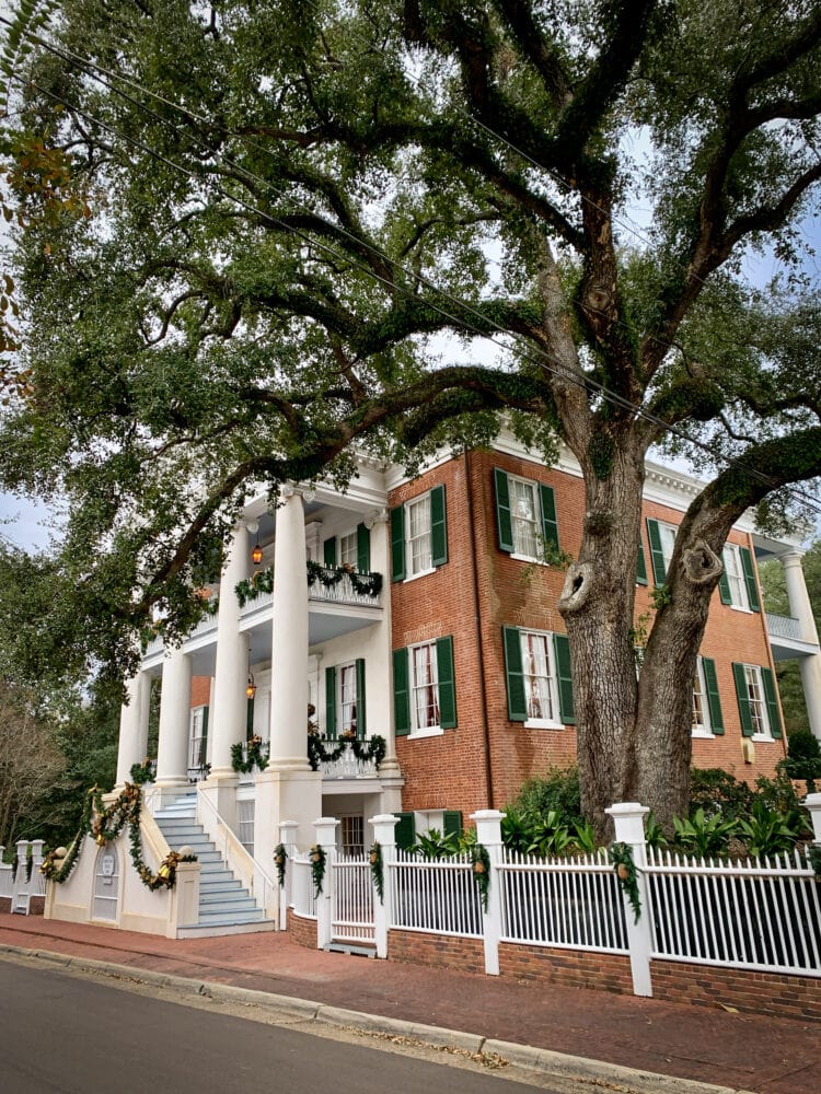 A photograph of The Choctaw, with a large front porch framed by an old oak tree. One of the many antebellum mansions in downtown Natchez.