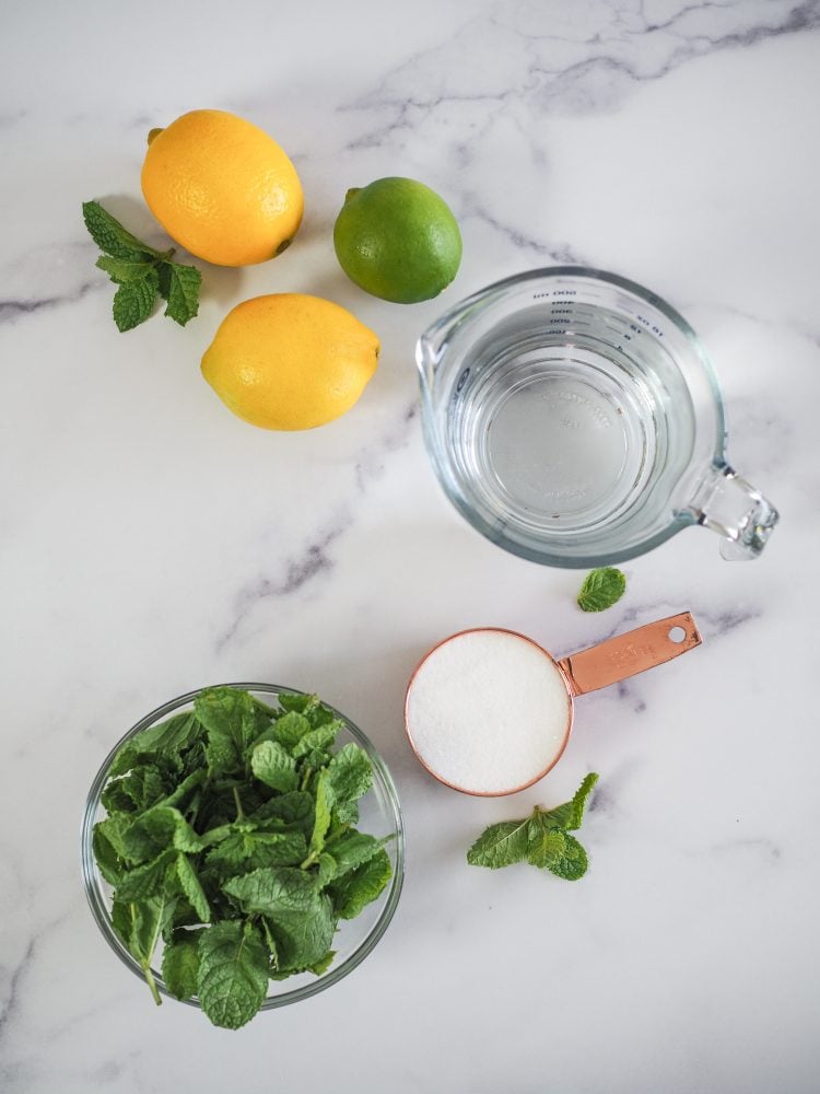 Overhead shot of ingredients including lemon, lime, water, sugar, and fresh mint.