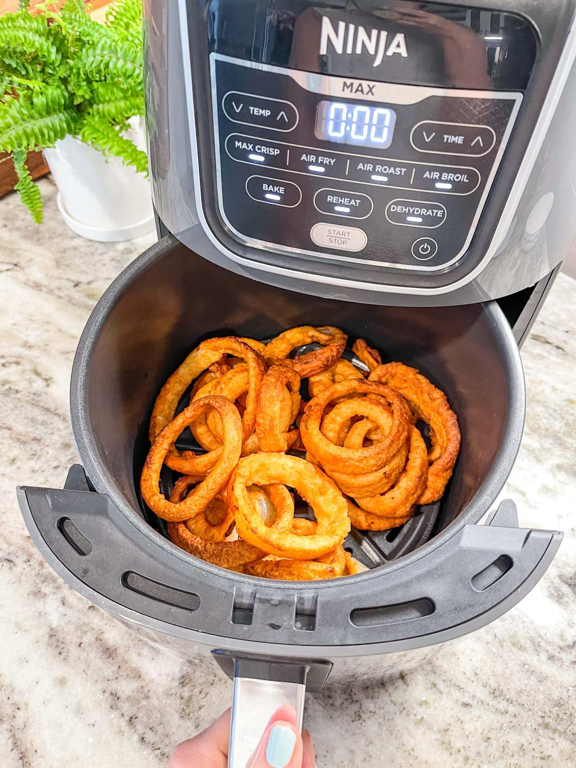 Air Fryer Frozen Onion Rings – The Travel Bite