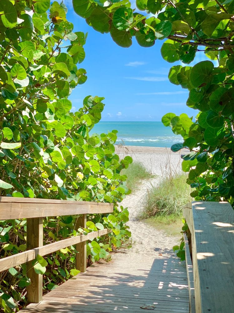 Green seagrape canopy and boardwalk looking out onto turquoise blue ocean and beach at Robert P. Murkshe Memorial Park.