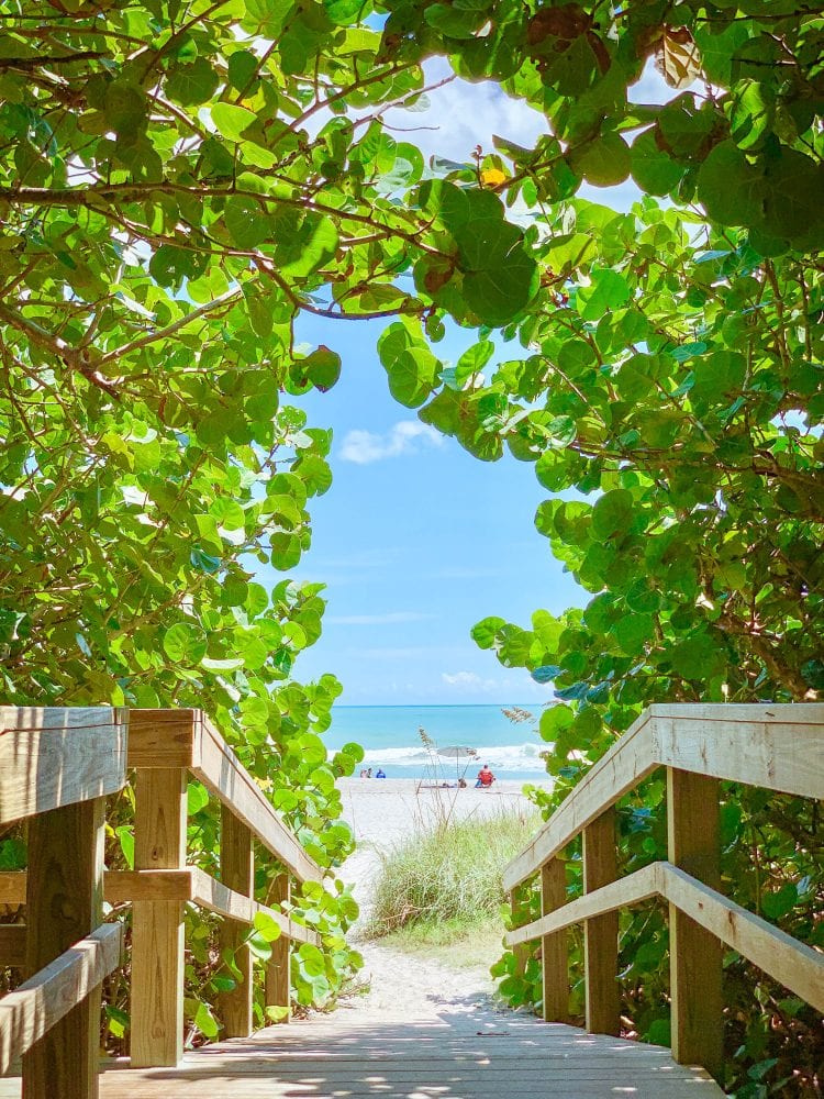 Green seagrape canopy centered over boardwalk looking out onto turquoise blue ocean and beach at Robert P. Murkshe Memorial Park.