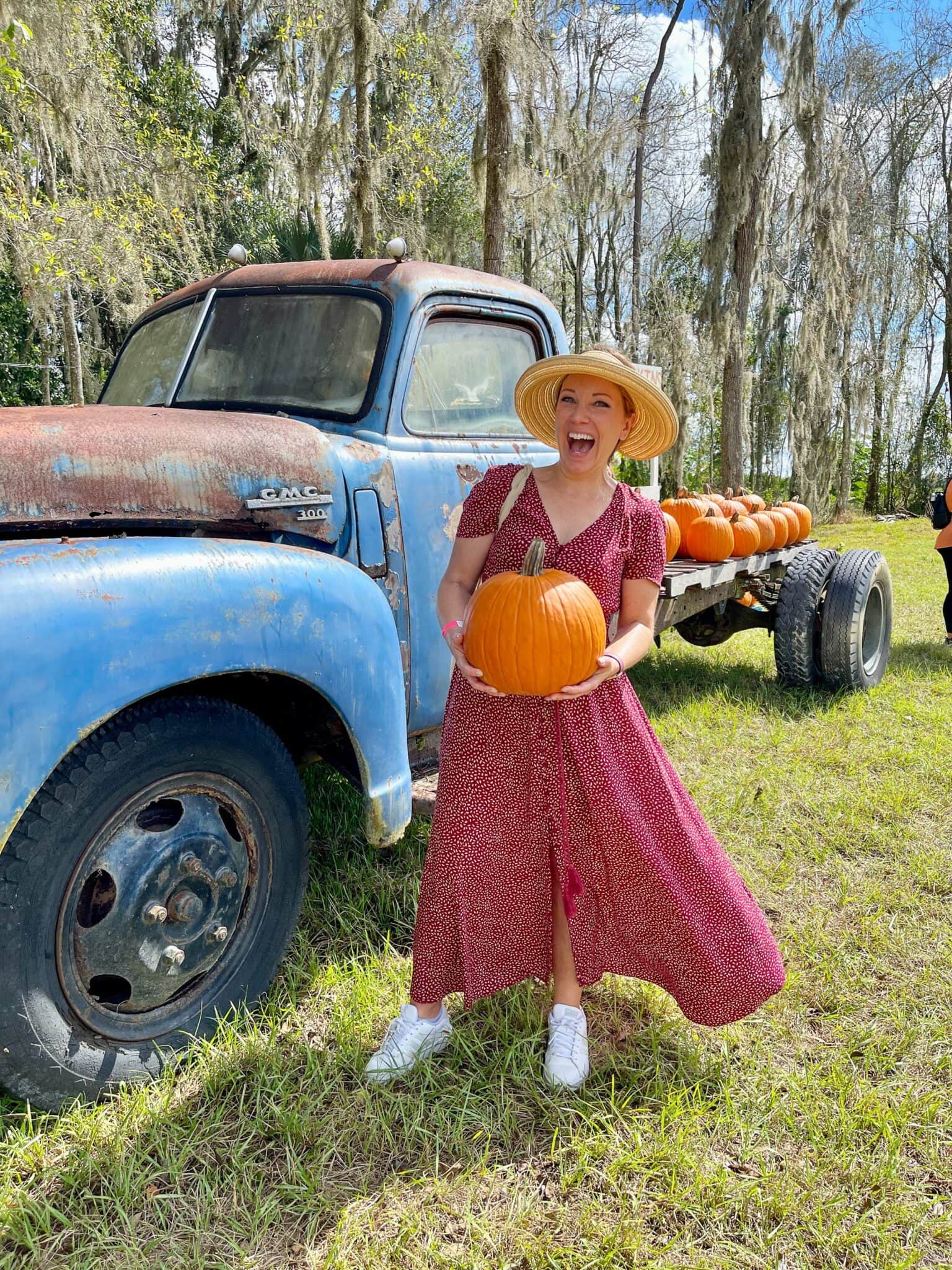Fall In Orlando 50 Fun Things To Do In Orlando This Fall – The Travel Bite