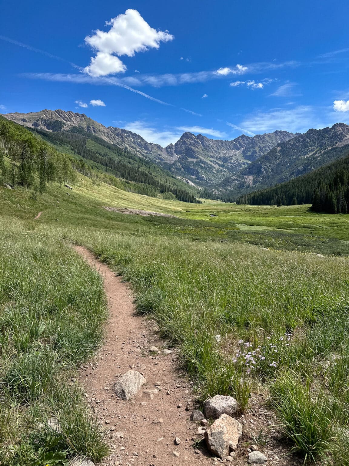 Things To Do In Vail During Summer – The Travel Bite