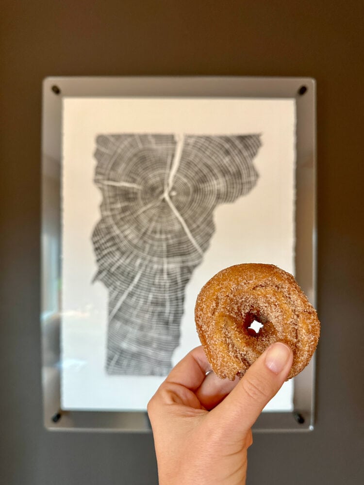 An apple cider donut held up in front of a tree ring print in the shape of Vermont.