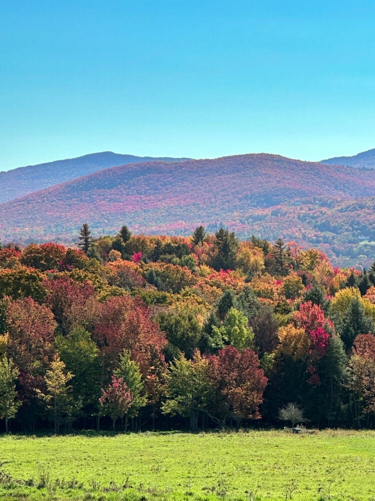View of leaves changing to red, green, and gold along the Green Mountains in Stowe, VT