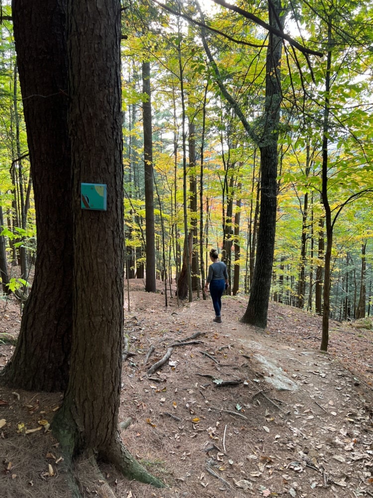 Rachelle hiking ahead of Pete through the forest on the way to sunset rock.