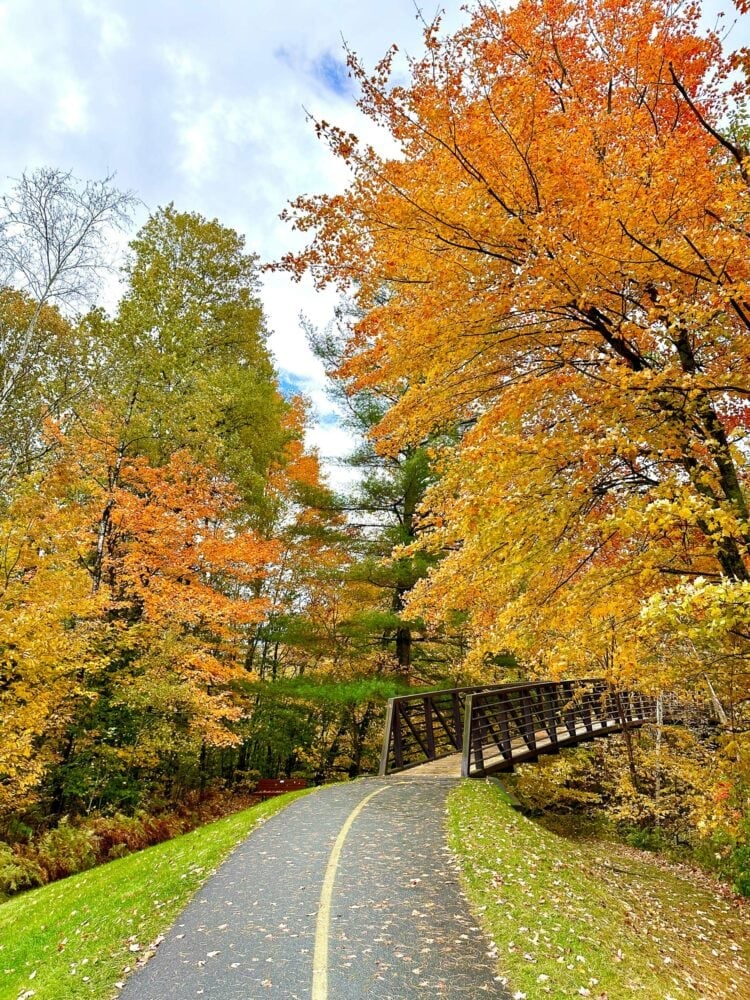 Photo of the Stowe recreational path with autumn colored trees covered in gold and orange leaves.