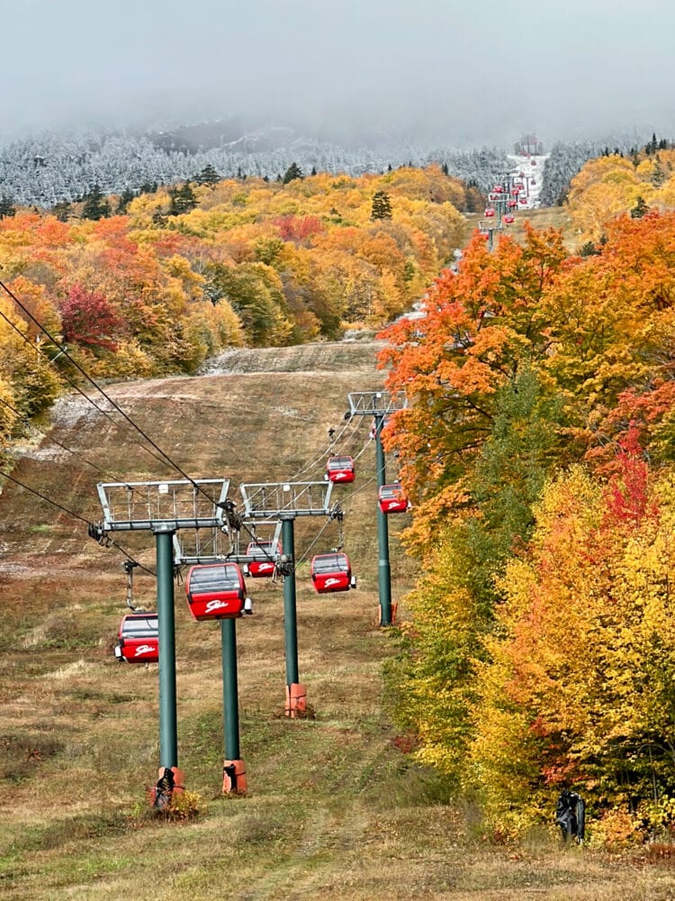 Stowe gondola going yp the mountain where the altitude changes the season from the warm colors of autumn to snow tipped trees. 