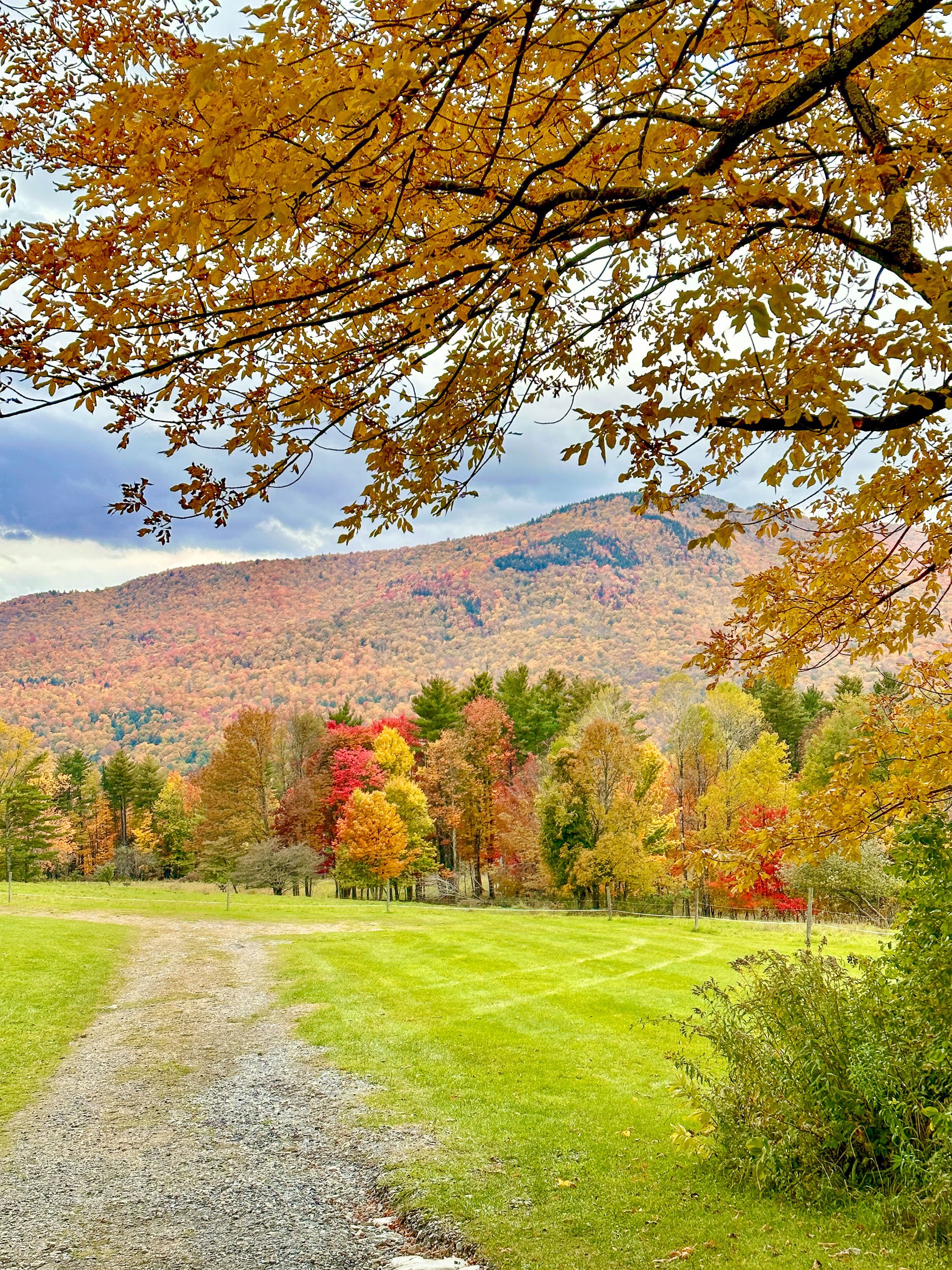 Scenic fall foliage and mountains along a gravel path in Vermont.