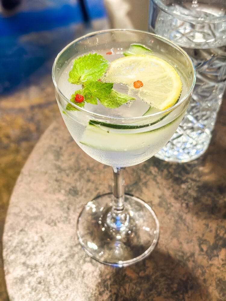 A gin and tonic garnished with mint, peppercorns, lemon, and cucumber.