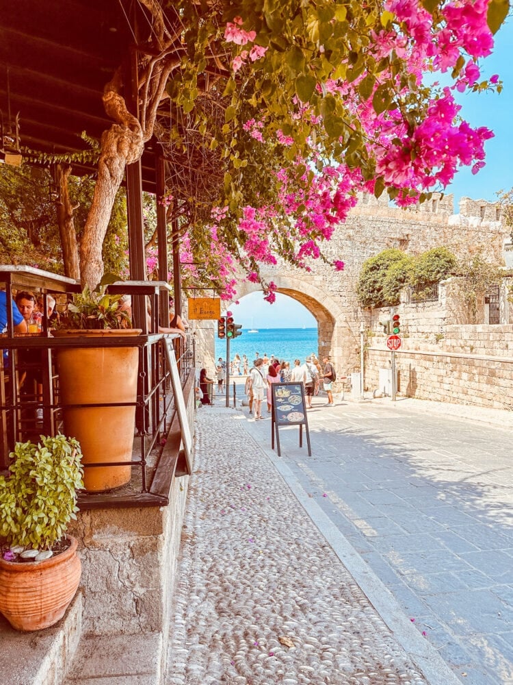 A pink bougenvilla shading a street overlooking the ocean in Rhodes, Greece.