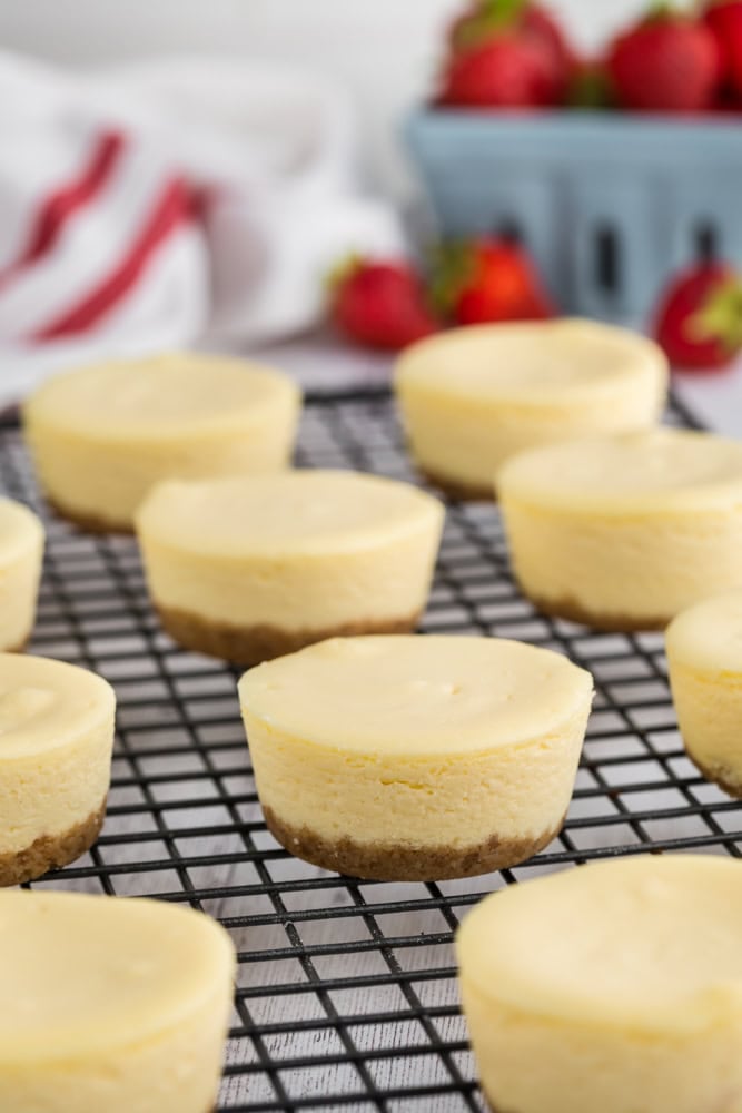 cheesecake bites cooling on wire rack