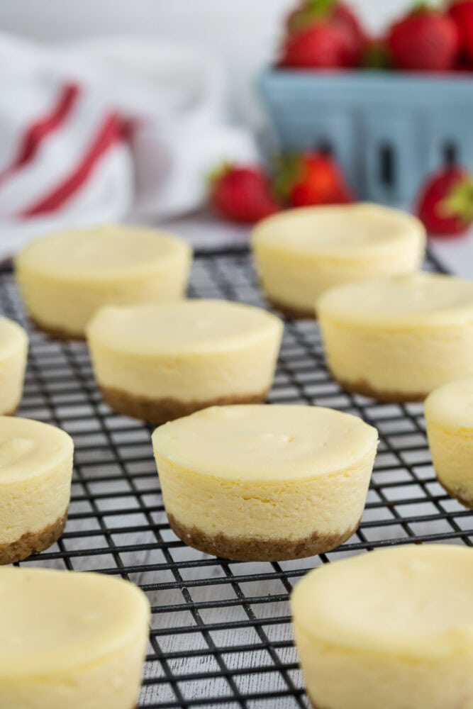 Cheesecake bites cooling on a wire rack.