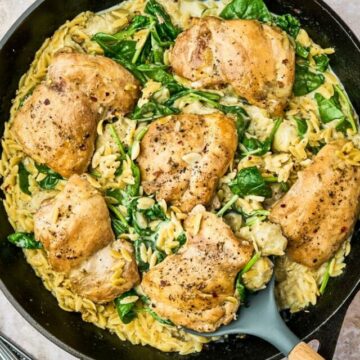 cropped-Spinach-Articoke-Chicken-The-Travel-Bite-16.jpg