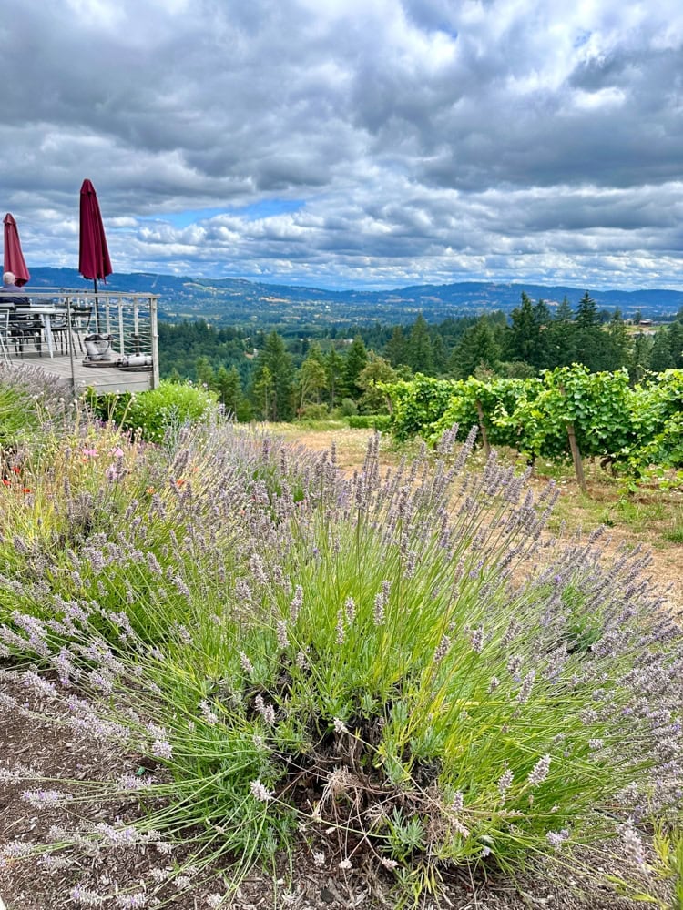 The views at Lange Estate