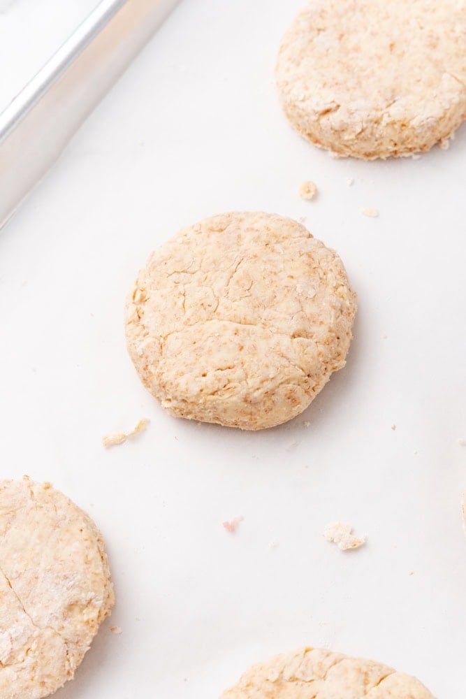 biscuit before getting baked
